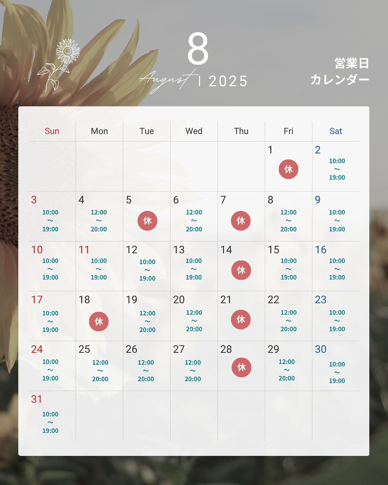 こんにちは、Hyggeです🪴