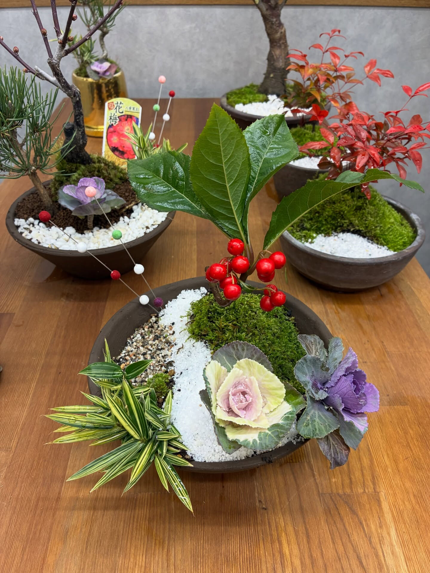 お正月飾りのご紹介🪴