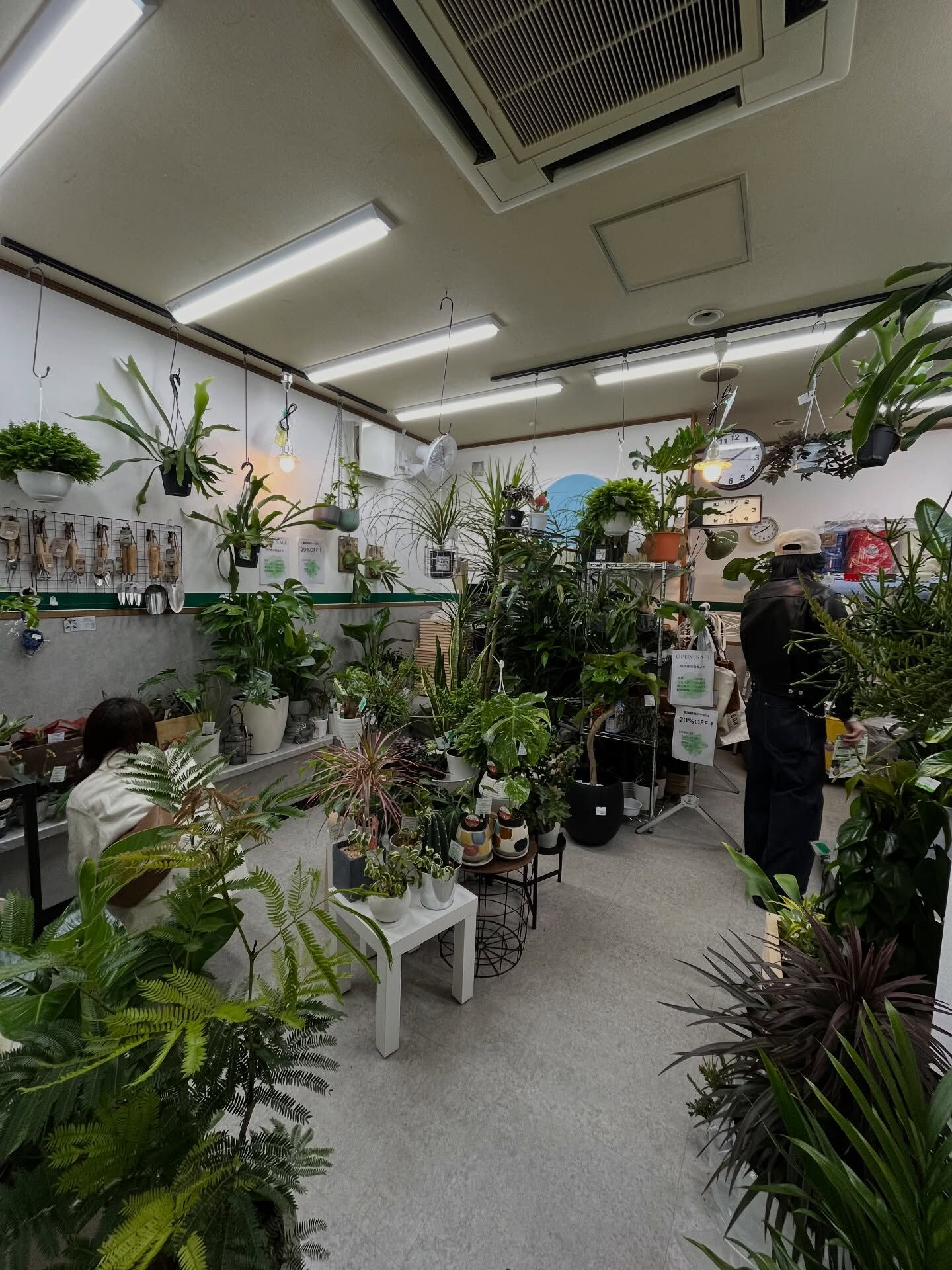 2025年度最後のご挨拶🪴