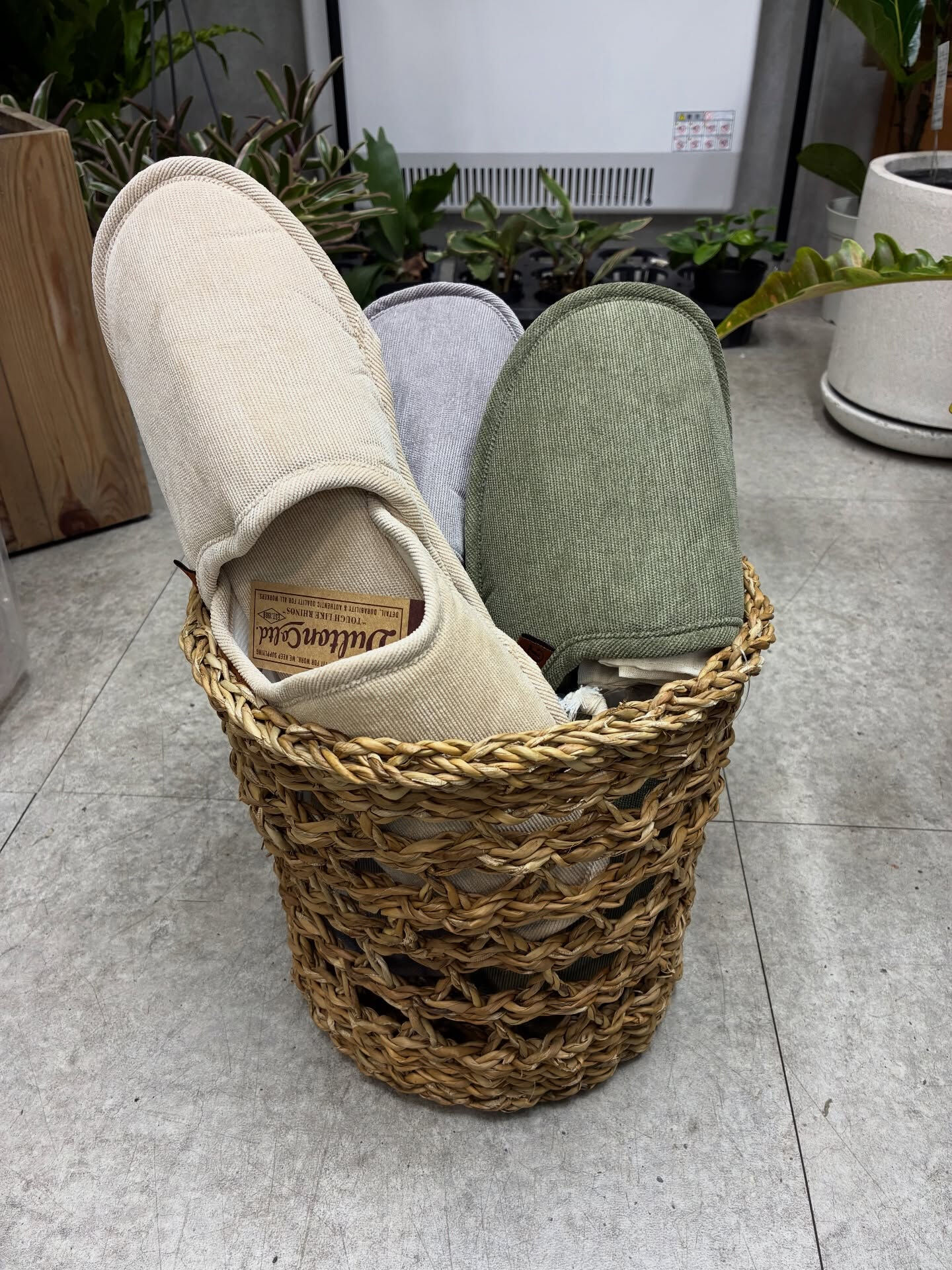 こんばんは、Hyggeです🪴