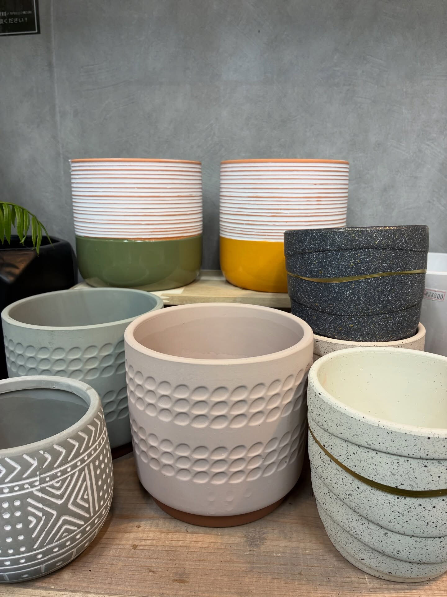 NEW　Pots！！