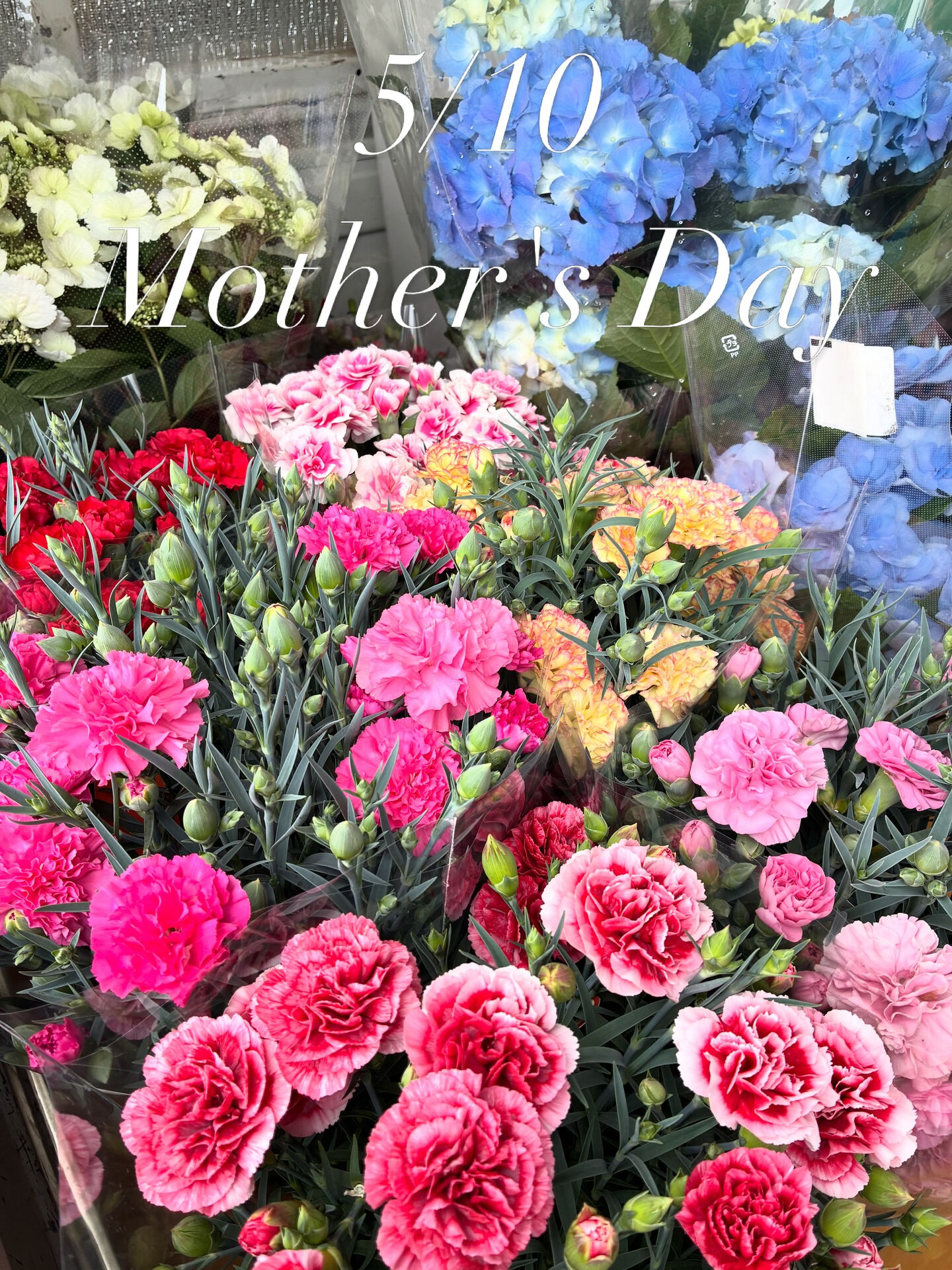 5/10 Mother's Day ♡ 