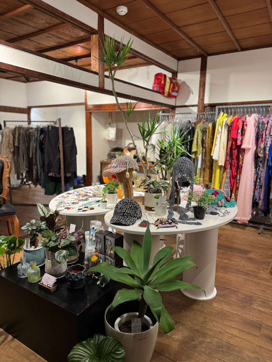 豊中市の白商店様でイベント開催します！