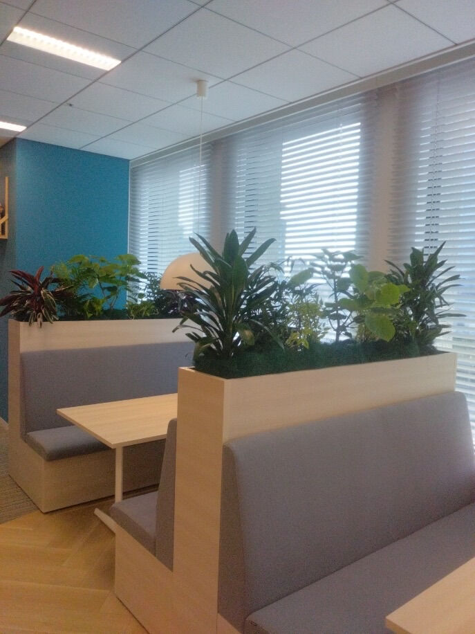 オフィスの打ち合わせスペースに植栽を