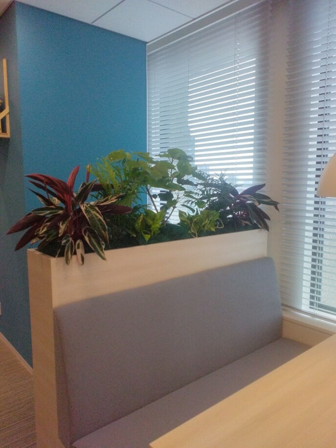 オフィスの打ち合わせスペースに植栽を